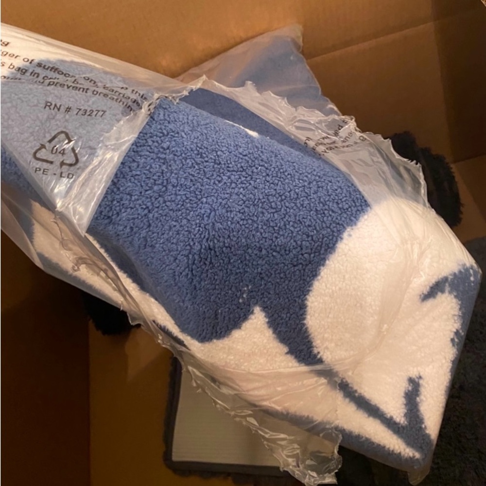 Blue and White Mickey Mouse Rug - Picture 10 of 10